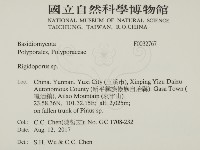 硬孔菌屬藏品圖，第2張