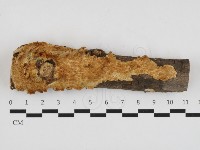 登錄號:F0032768藏品圖，第1張