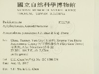 登錄號:F0032769藏品圖，第2張