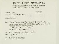 登錄號:F0032770藏品圖，第2張