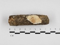 登錄號:F0032770藏品圖，第1張