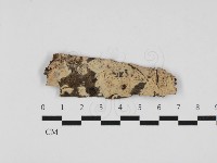 登錄號:F0032771藏品圖，第1張