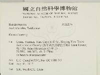 刺皮菌屬藏品圖，第2張