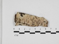 登錄號:F0032775藏品圖，第1張