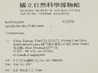 登錄號:F0032776藏品圖，第2張