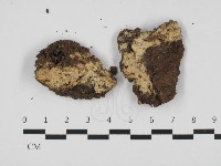 登錄號:F0032776藏品圖，第1張