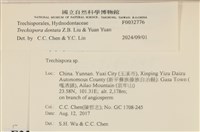 登錄號:F0032776藏品圖，第3張