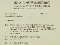 韌革菌屬藏品圖，第2張