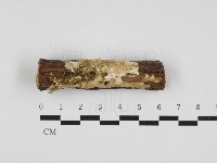 登錄號:F0032779藏品圖，第1張