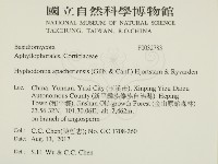 登錄號:F0032783藏品圖，第2張