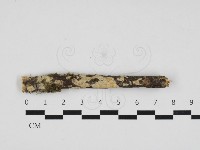 登錄號:F0032783藏品圖，第1張