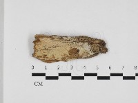 登錄號:F0032784藏品圖，第1張