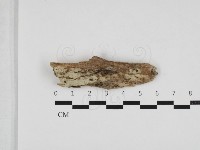 登錄號:F0032785藏品圖，第1張