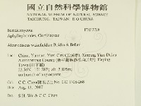 登錄號:F0032788藏品圖，第2張