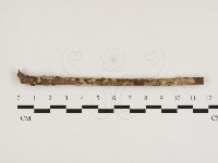 登錄號:F0032792藏品圖，第1張
