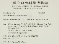 登錄號:F0032795藏品圖，第2張