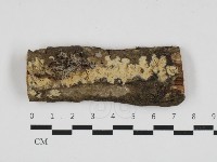 登錄號:F0032795藏品圖，第1張
