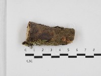 登錄號:F0032796藏品圖，第1張