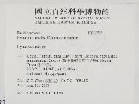 刺革菌屬藏品圖，第2張