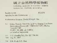 登錄號:F0032798藏品圖，第2張