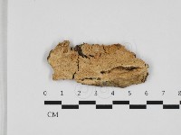 登錄號:F0032800藏品圖，第1張