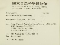 登錄號:F0032802藏品圖，第2張
