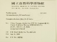 登錄號:F0032803藏品圖，第2張