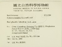 登錄號:F0032804藏品圖，第2張