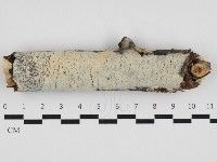 登錄號:F0032804藏品圖，第1張