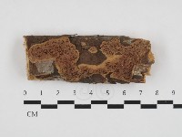登錄號:F0032805藏品圖，第1張