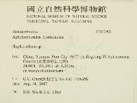 登錄號:F0032807藏品圖，第2張