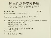 登錄號:F0032808藏品圖，第2張