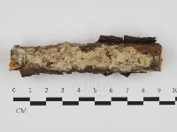 登錄號:F0032808藏品圖，第1張