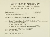 登錄號:F0032810藏品圖，第2張