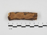 登錄號:F0032810藏品圖，第1張