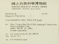 登錄號:F0032811藏品圖，第2張