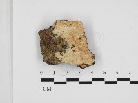 登錄號:F0032811藏品圖，第1張