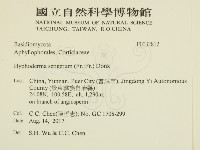 剛毛絲皮菌藏品圖，第2張