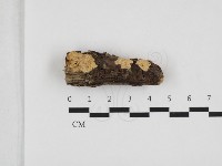 登錄號:F0032813藏品圖，第1張