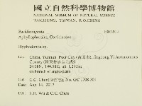 絲齒菌屬藏品圖，第2張