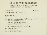 絲皮菌屬藏品圖，第2張