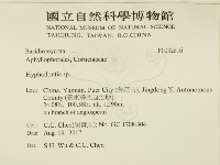 絲齒菌屬藏品圖，第2張