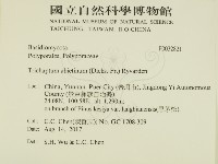 登錄號:F0032821藏品圖，第2張