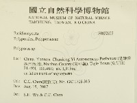 多孔菌屬藏品圖，第2張