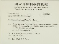 登錄號:F0032823藏品圖，第2張