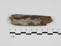 登錄號:F0032823藏品圖，第1張