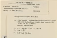 登錄號:F0032823藏品圖，第3張