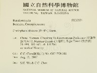 登錄號:F0032824藏品圖，第2張