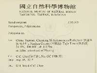 多孔菌屬藏品圖，第2張