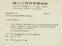 擬筍殼菌屬藏品圖，第2張